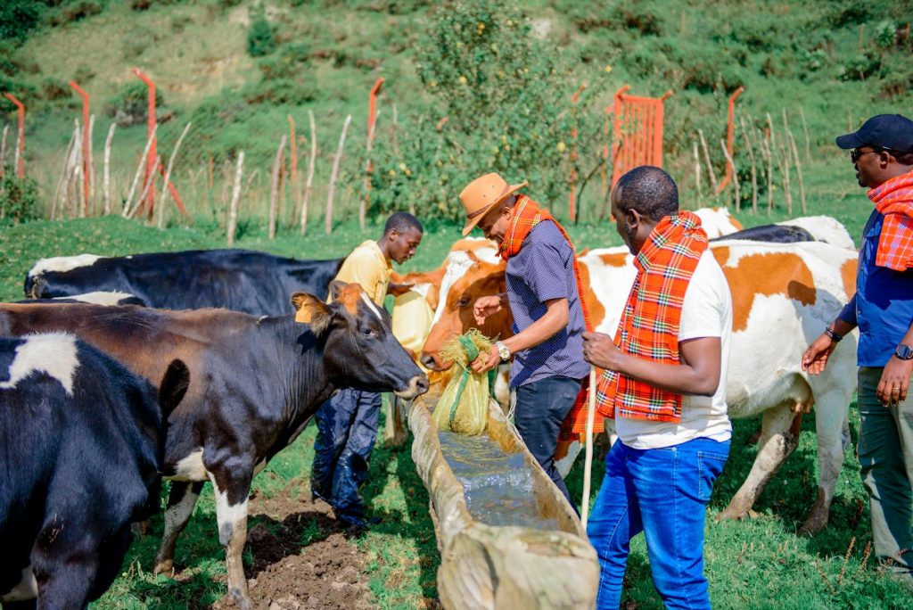 A group of farmers tending to cattle at a water trough in a green pasture.