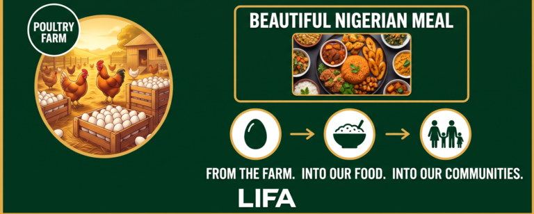 The Egg You Don’t See: Rethinking How We Make Nigerian Meals More Nutritious